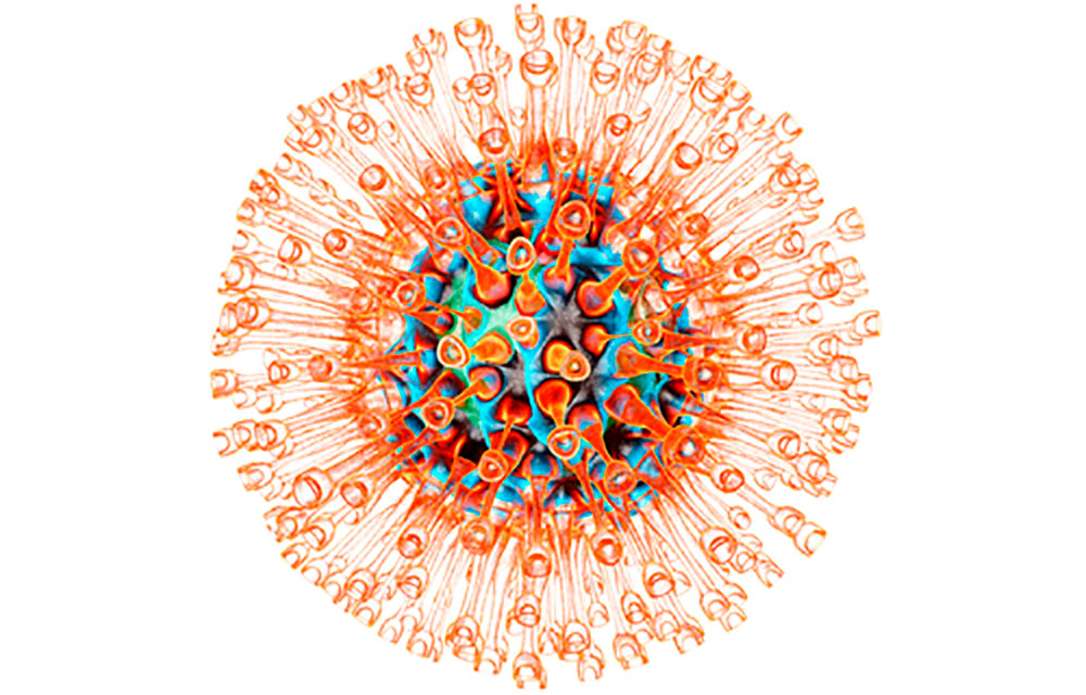 Herpes Simplex Virus - Illustration